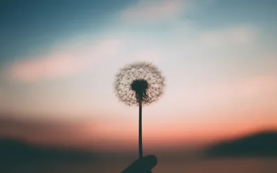 L&rsquo;importance d&rsquo;apprendre à sentir