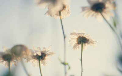 Méditer pour retrouver du sens